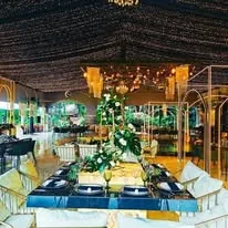 Montaje elegante con vegetación y luces